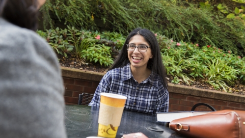 Undergraduate Students Tuition